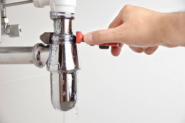 Professional Plumbing  in Walnut Grove, CA